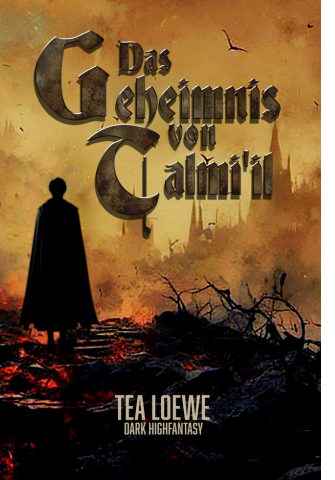 Buchcover vom Roman 'Das Geheimnis von Talmiil'